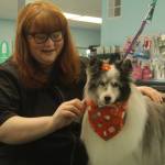 Photo by Karina Andrew/Whidbey News-Times