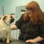 Photo by Karina Andrew/Whidbey News-Times