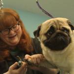 Photo by Karina Andrew/Whidbey News-Times