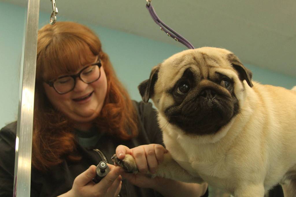 Photo by Karina Andrew/Whidbey News-Times