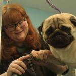 Photo by Karina Andrew/Whidbey News-Times