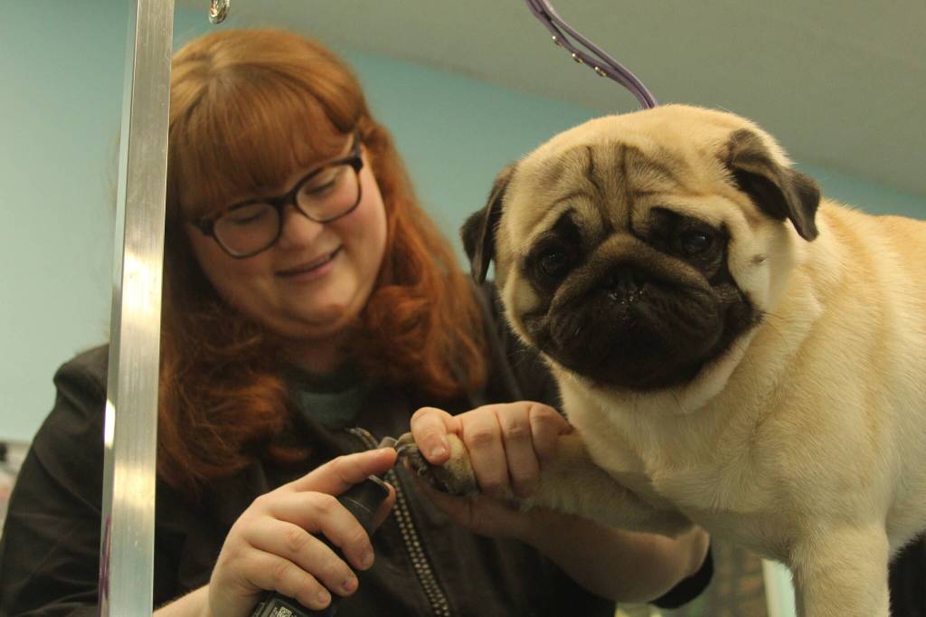 Photo by Karina Andrew/Whidbey News-Times