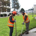 New Leaf employees work together to trim the grass. (Photo by Luisa Loi)