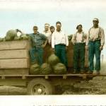 A group of men pose with a load of sugar Hubbard squash more than 60 years ago. On the far right, Wilbur Sherman, Edwin Shermans brother. (Photo provided)
