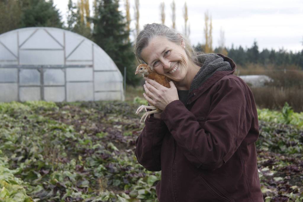 Organic Farm School graduate Maria Converse has hatched a plan to raise 115 robust egg-layers at the educational institution in the Maxwelton Valley. (Photo by Kira Erickson/South Whidbey Record)