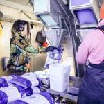 Staff at Penn Cove Shellfish fill bags with mussels before they weigh them. (Photo by Luisa Loi)