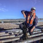 Photo by Luisa Loi
Zane Malloy pulls out a line of mussels.