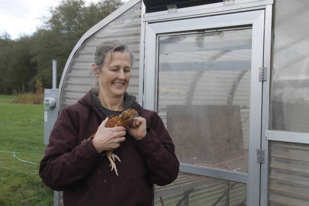 Photo by Kira Erickson/South Whidbey Record
Organic Farm School graduate Maria Converse has hatched a plan to raise 115 robust egg-layers at the educational institution in the Maxwelton Valley.