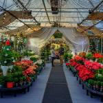 Bayview Gardens Holiday House is one of the most festive spots on South Whidbey. (Photo by David Welton)