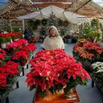 Maureen Murphy is the founder of Bayview Garden, which celebrated its 30th anniversary this year. The South Whidbey garden center is known for its annual Holiday House. (Photo by David Welton)