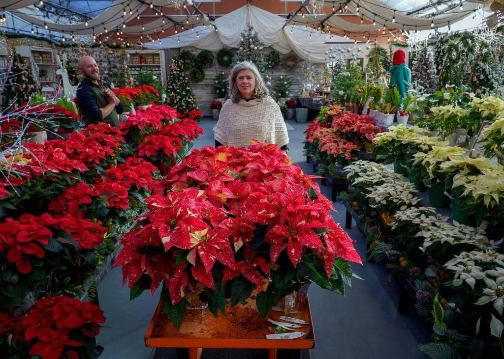Maureen Murphy is the founder of Bayview Garden, which celebrated its 30th anniversary this year. The South Whidbey garden center is known for its annual Holiday House. (Photo by David Welton)