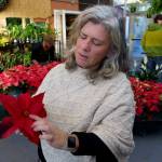 Maureen Murphy points out the different parts of a plant on a poinsettia. (Photo by David Welton)
