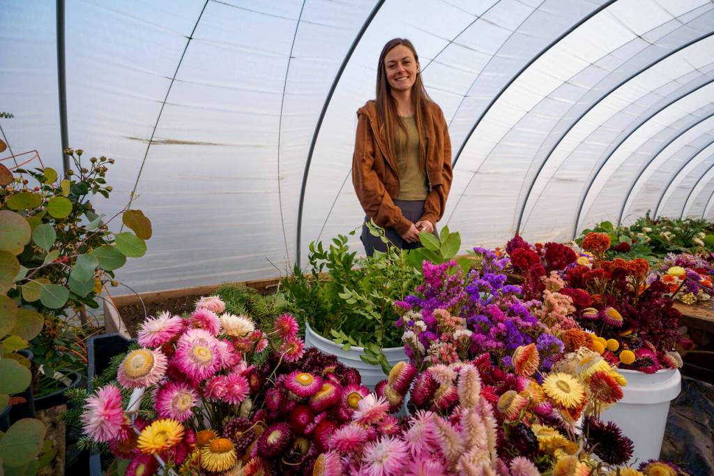 Emily Martin dries buckets of flowers to be used in her everlasting wreaths. (Photo by David Welton)