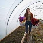 Emily Martin carries buckets of dried flowers into her hoop house. (Photo by David Welton)