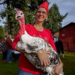 A turkey made an appearance at the Whidbey Island Fairgrounds. (Photo by David Welton)