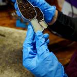 Many of Bennetts designs are inspired by nature, including this morel mushroom. (Photo by David Welton)