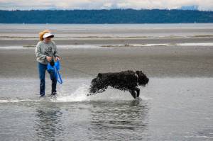 Photo by David Welton