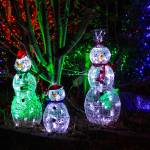 Some guests at Stuckys house include a family of snow people, the Grinch, Baby Jesus, Mary and Joseph. (Photo by Luisa Loi)