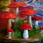 A display of fungi of the red-and-white variety can be found at Bayview Garden. (Photo by David Welton)