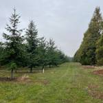 Island Transit has acquired a new 38-acre property in Coupeville. (Photo provided)