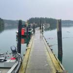 Dock