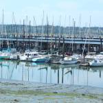 Archive photo
The Oak Harbor Marina.