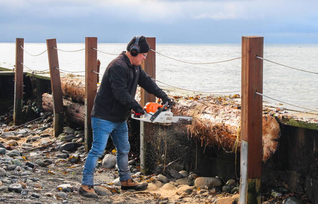 Marie Francos husband, Lenny, cuts a log with a chainsaw at his West Beach house. (Photo by Luisa Loi)