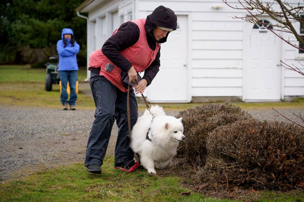 Photo by David Welton