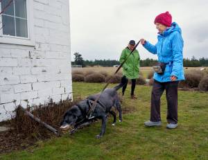 Photo by David Welton
Georgia Edwards, in background, comments on Susan Thorsens ability to recognize a signal from her dog, Bohdi.