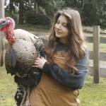 Heather Talley, illustrator of Thankful Harvest, holds a turkey at Sweetwater Farm. (Photo by Kira Erickson/South Whidbey Record)