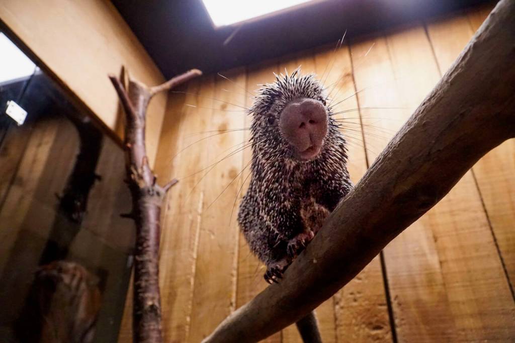 Photo by Sam Fletcher