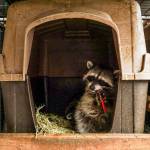 Photo by Sam Fletcher