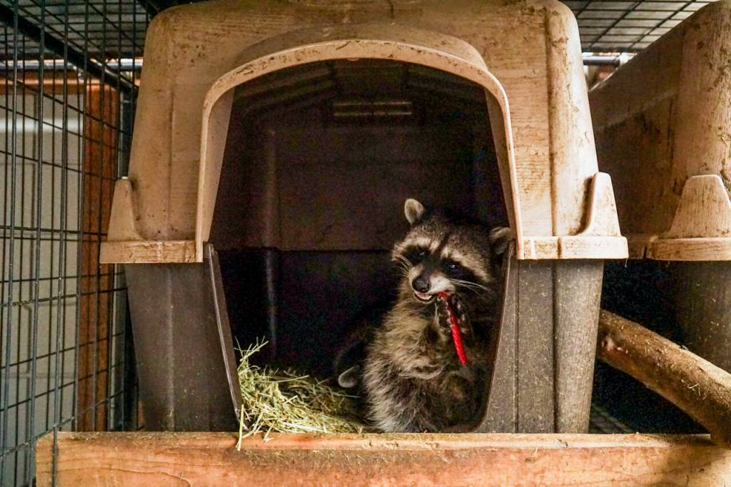 Photo by Sam Fletcher