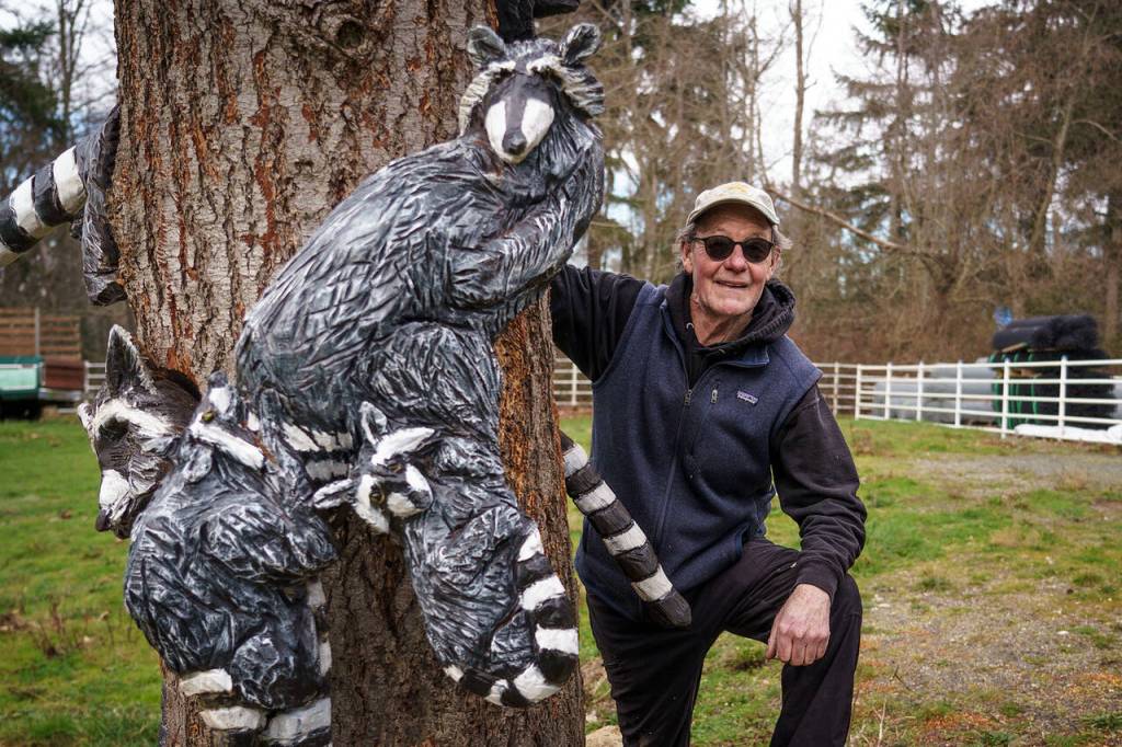 Pat McVay peeks out from behind the trunk of a mature Douglas fir that is adorned with his raccoon sculptures. (Photo by David Welton)