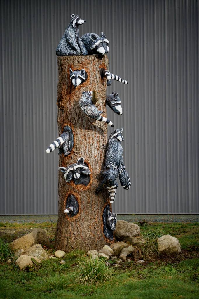 Pat McVay created the illusion of raccoons poking their heads and tails out of the tree from every angle. (Photos by David Welton)