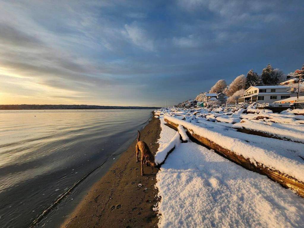 Columbia Beach was covered in snow Tuesday morning. (Photo by Noah Person)