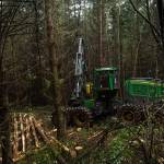 David Janicki of Janicki Logging Co. thins the Trillium Community Forest on Tuesday. (Photo by Sam Fletcher)