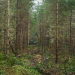 After the feller buncher, a forwarder comes along and collects the logs. (Photo by Sam Fletcher)