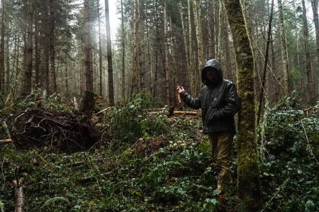 Whidney Camano Land Trust stewardship specialist Kyle Ostermick-Durkey gestures toward a thinned portion of the Trillium Community Forest on Tuesday. (Photo by Sam Fletcher)