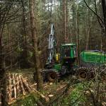 David Janicki of Janicki Logging Co. thins the Trillium Community Forest on Tuesday. (Photo by Sam Fletcher)