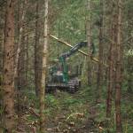 After the feller buncher, a forwarder comes along and collects the logs. (Photo by Sam Fletcher)