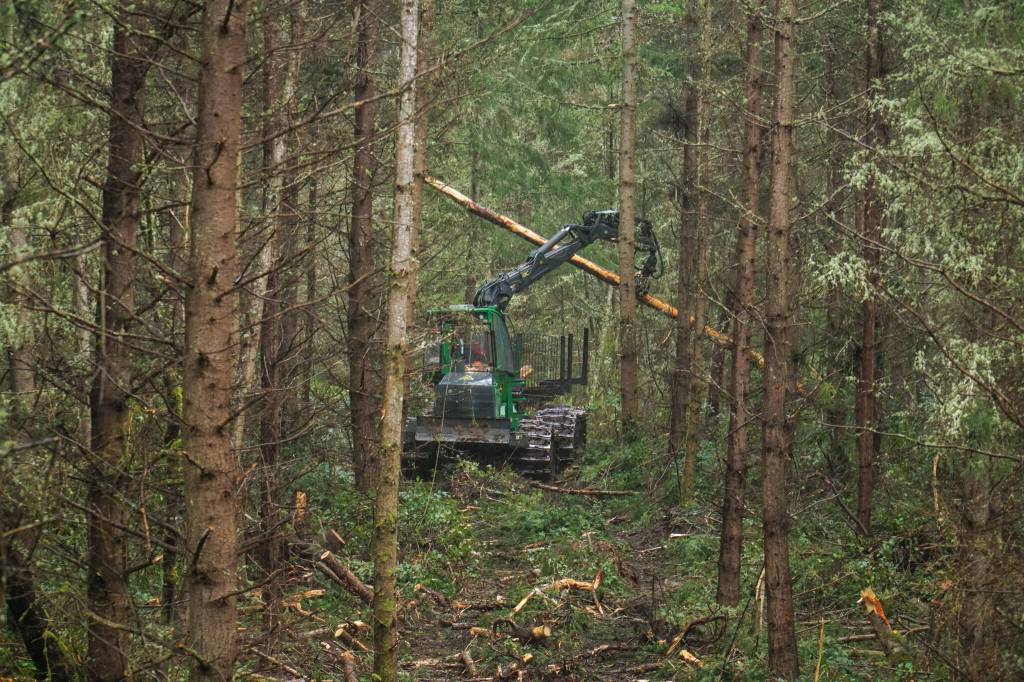 After the feller buncher, a forwarder comes along and collects the logs. (Photo by Sam Fletcher)