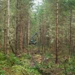 After the feller buncher, a forwarder comes along and collects the logs. (Photo by Sam Fletcher)