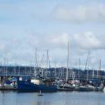 Boats sit outside Saturdays boat safety course at the Oak Harbor Yacht Club. (Photo by Sam Fletcher)