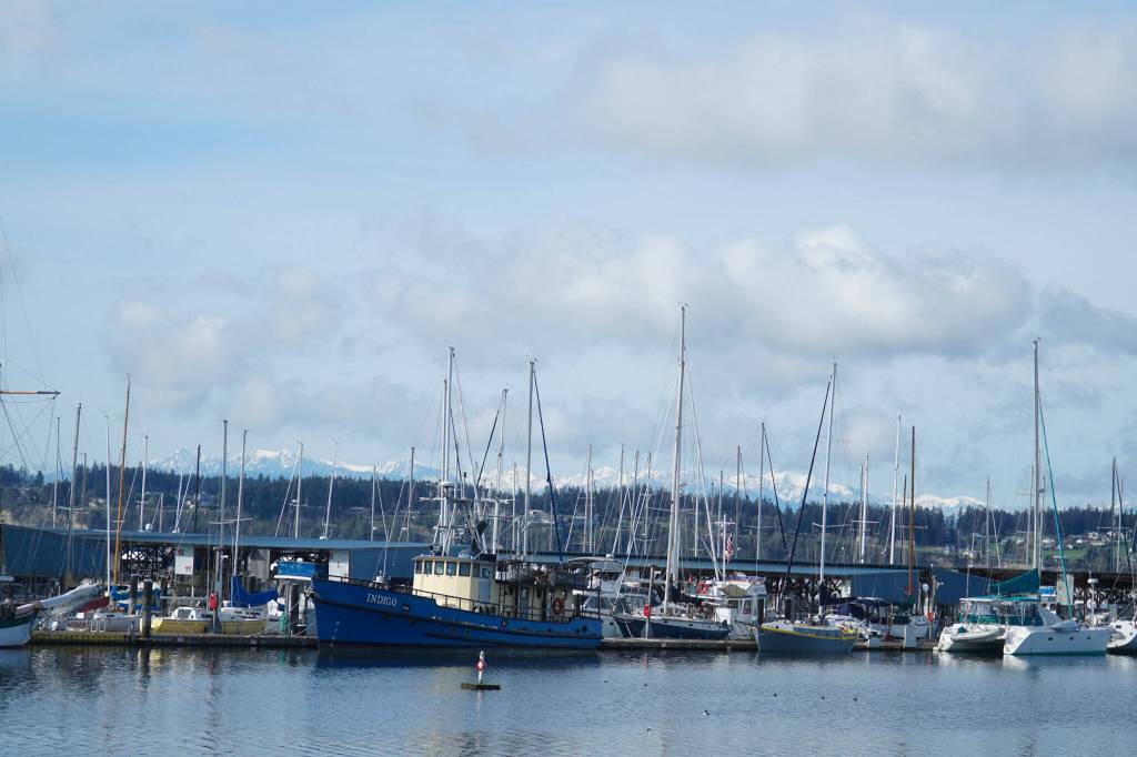 Boats sit outside Saturdays boat safety course at the Oak Harbor Yacht Club. (Photo by Sam Fletcher)