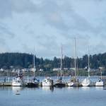 Boats sit outside Saturdays boat safety course at the Oak Harbor Yacht Club. (Photo by Sam Fletcher)