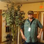 Mike Crandall, owner of Island Gro in Oak Harbor, has been growing marijuana for over 40 years. (Photo by Sam Fletcher)