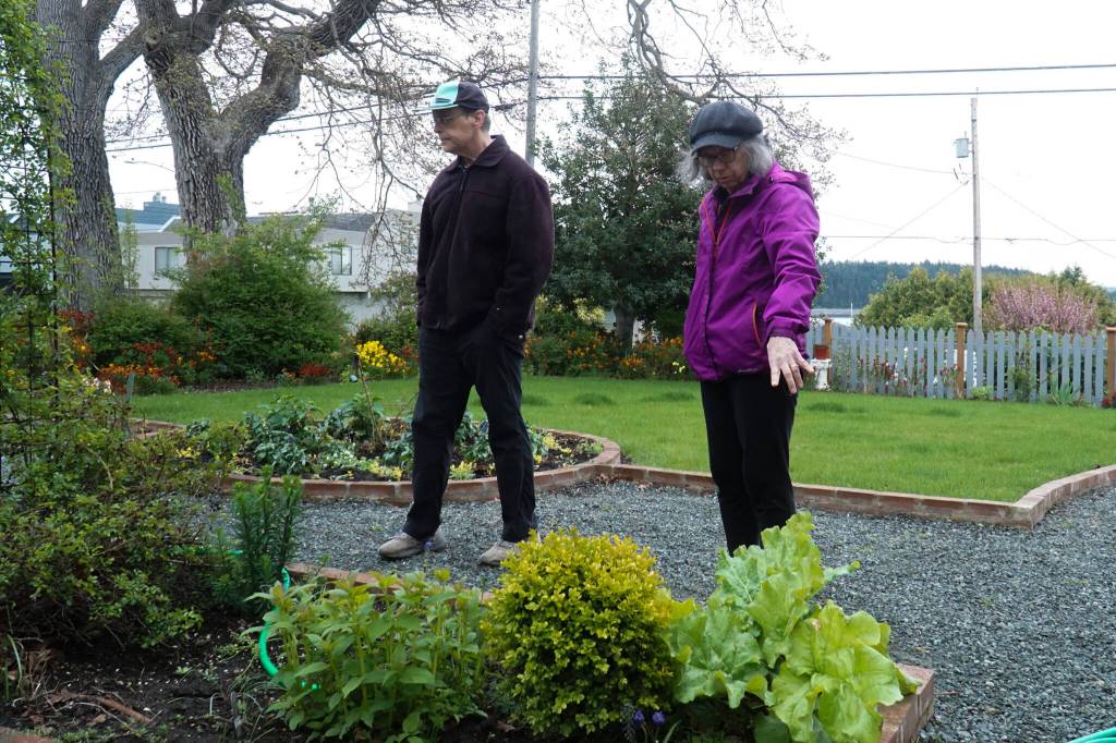 Gary (left) and Teresa Gillespie (right) display their garden, which will be in full bloom come June. (Photo by Sam Fletcher)
