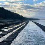 Photo provided
Taylor Shellfish has a floating oyster culture systems in British Columbia.