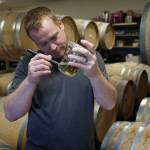 Photo by David Welton
Kyle ONeill checks the clarity of a sample of wine.